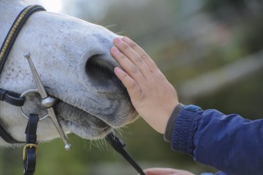   Woman playing with her horse